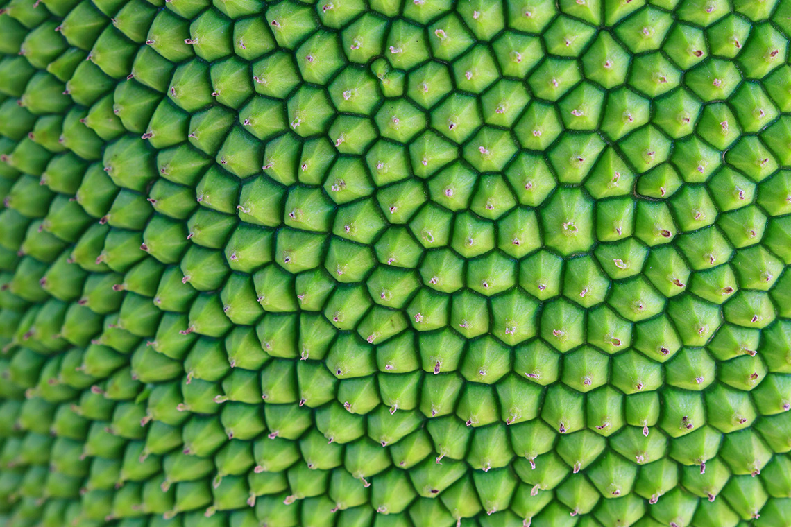 Naturstruktur von einer Frucht
